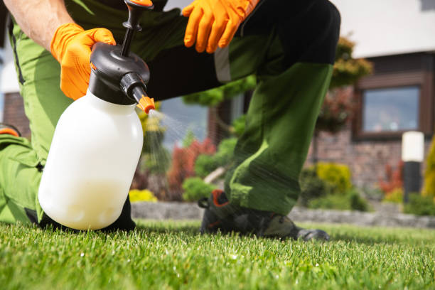 Best Organic or Eco-Friendly Pest Control  in Loma Ri, CA